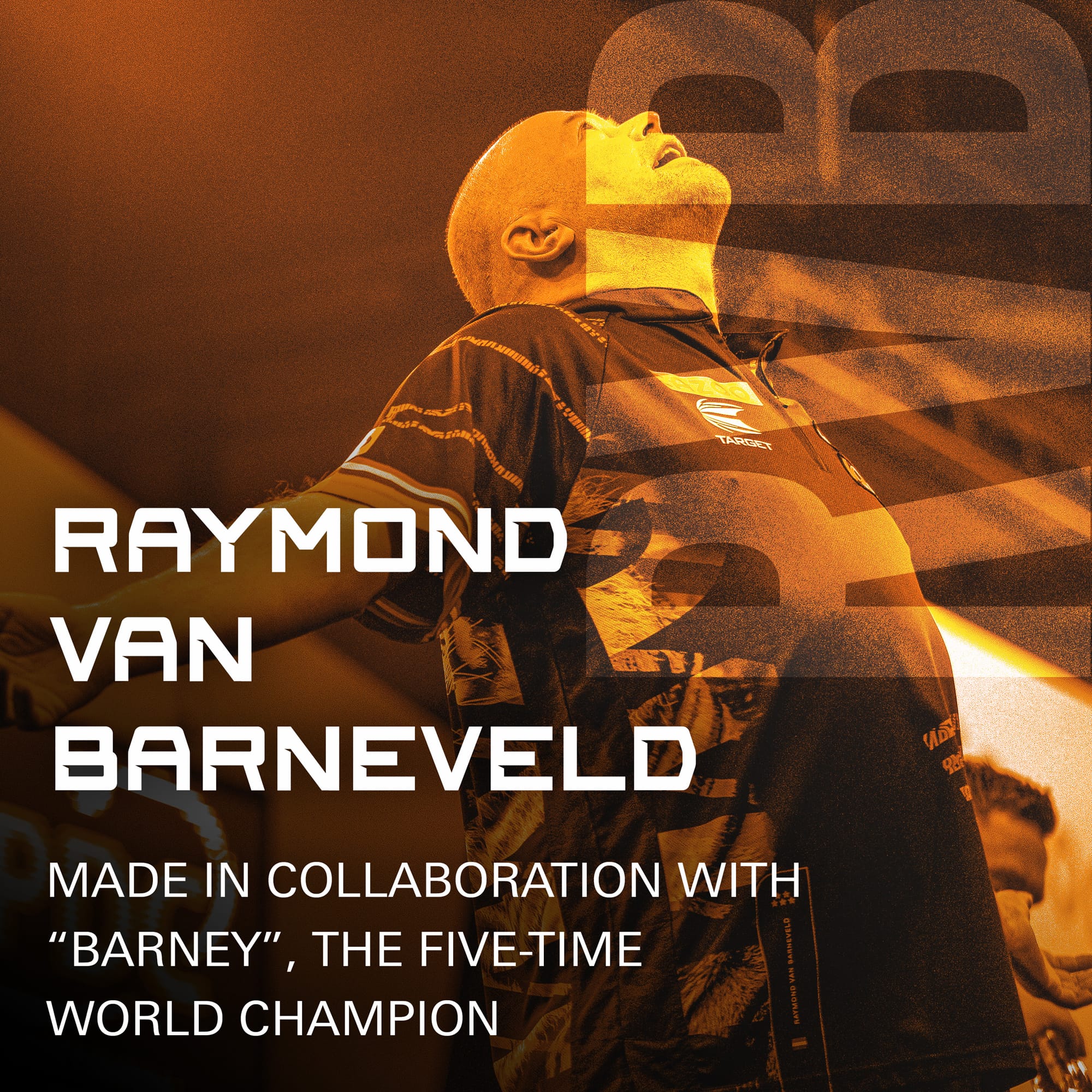 Target K-Flex Dart Flights - Standard No.2 - Raymond van Barneveld - Image 2