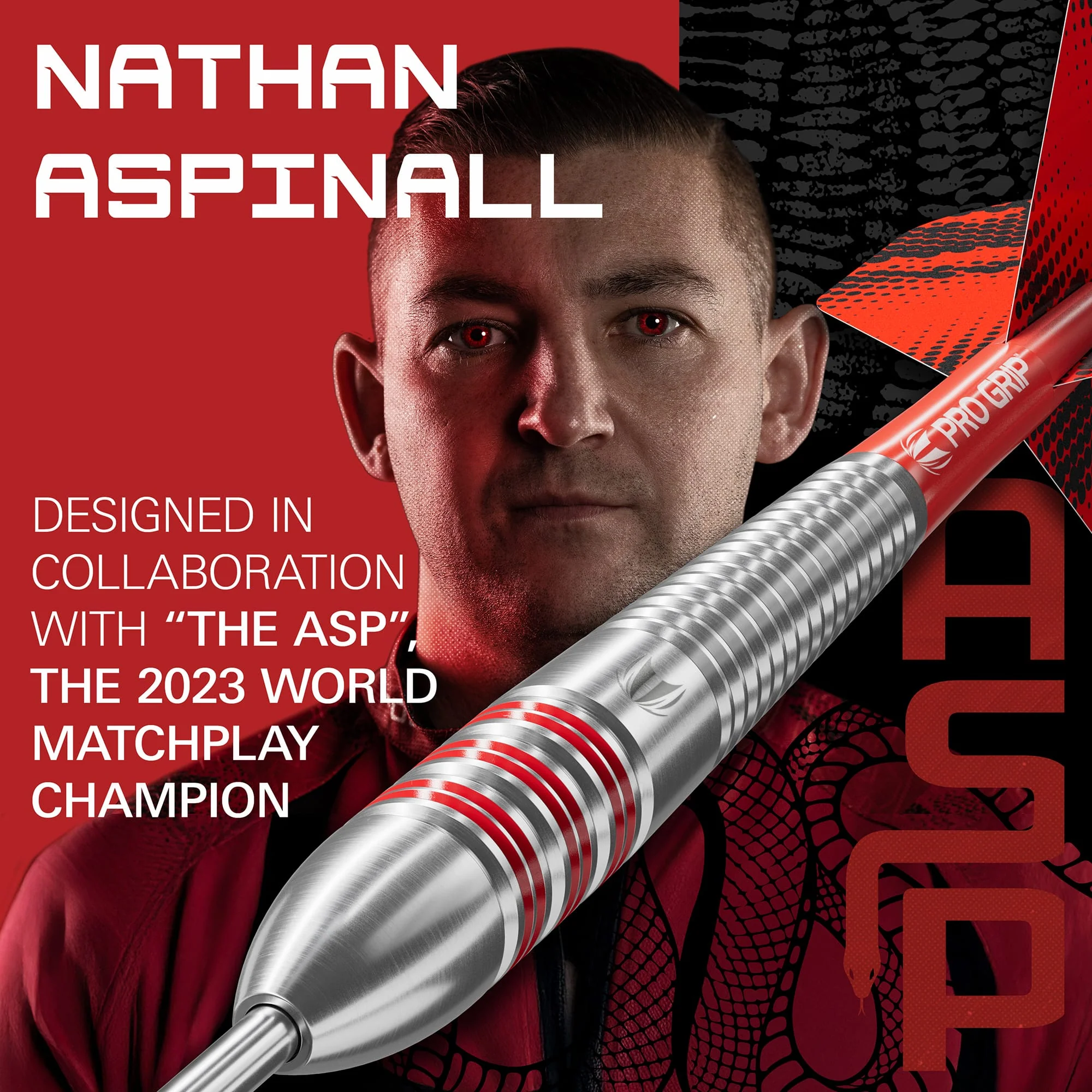 Target Nathan Aspinall Darts - Steel Tip - Brass - Image 2